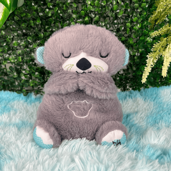 Super Combo Mi Peluche😍🎁