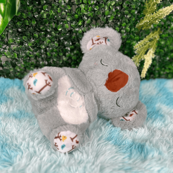Super Combo Mi Peluche😍🎁