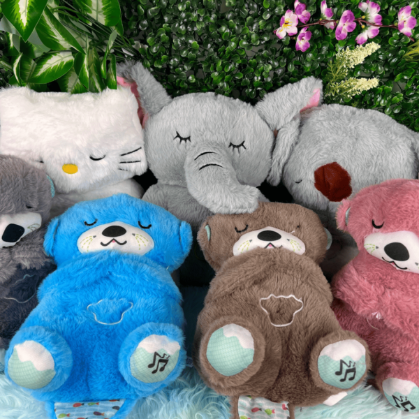 Super Combo Mi Peluche😍🎁